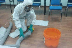CHEMICAL-4